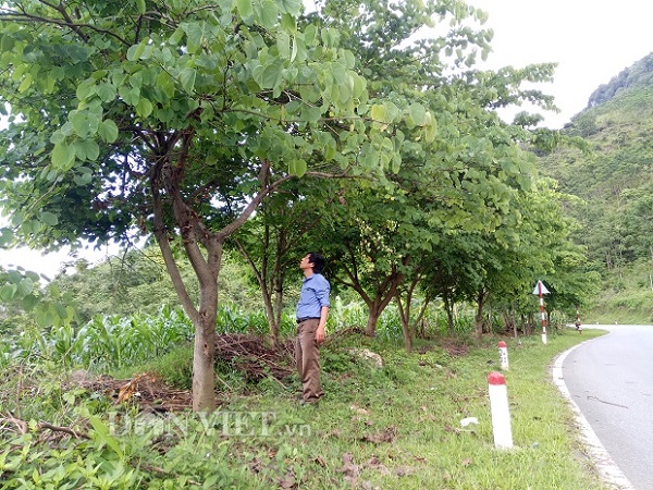 nong nghiep nong dan nong thon dien bien dang chuyen minh