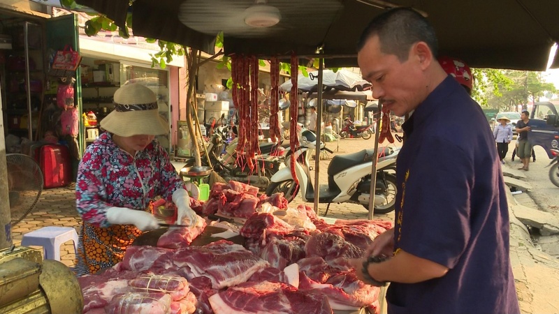 gia thit lon bat dau tang tro lai