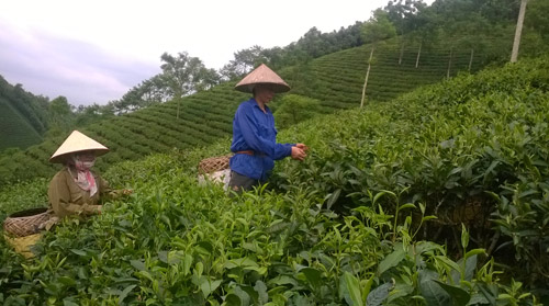 huyen ba vi san lung nhieu nguon von dau tu ha tang san xuat