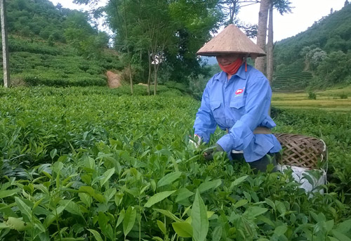 huyen ba vi san lung nhieu nguon von dau tu ha tang san xuat