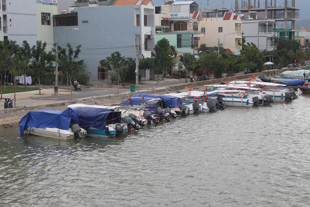 dung hoat dong dua don du khach bang ca no tren vinh nha trang