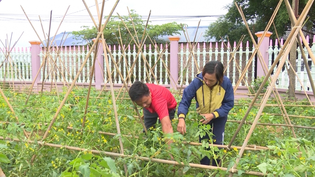 Đẩy mạnh sản xuất nông nghiệp theo tiêu chuẩn VietGap Đẩy mạnh sản xuất nông nghiệp theo tiêu chuẩn VietGap