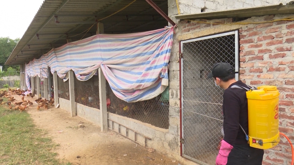 Đẩy mạnh sản xuất nông nghiệp theo tiêu chuẩn VietGap Đẩy mạnh sản xuất nông nghiệp theo tiêu chuẩn VietGap