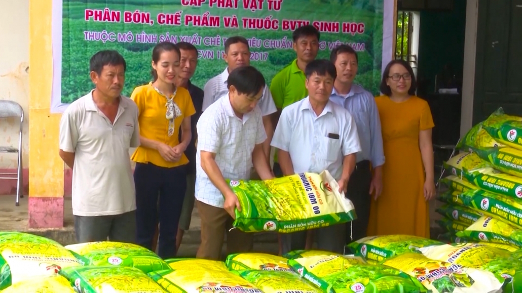 Thái Nguyên hướng tới sản xuất chè hữu cơ theo tiêu chuẩn Việt Nam Thái Nguyên hướng tới sản xuất chè hữu cơ theo tiêu chuẩn Việt Nam