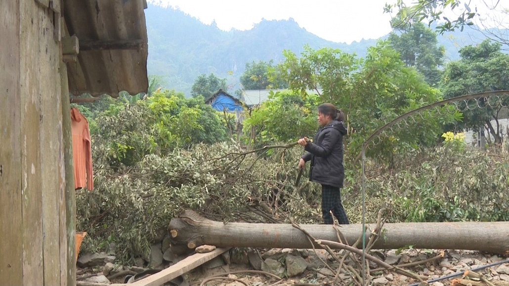 Võ Nhai thực hiện chính sách tết vì người nghèo Võ Nhai thực hiện chính sách tết vì người nghèo