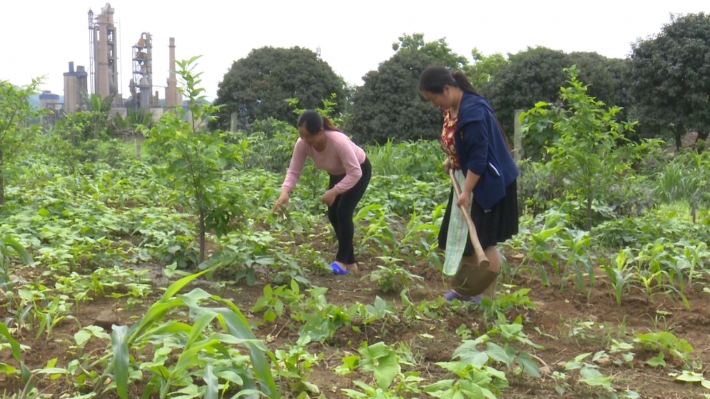 Đổi mới ở xóm người Mông Trung Sơn Đổi mới ở xóm người Mông Trung Sơn