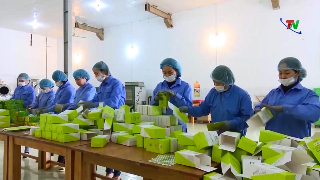 undefined Đảm bảo quy tắc xuất xứ trong thực thi EVFTA