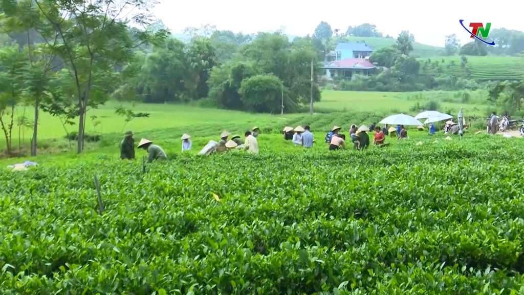 Phụ nữ yêu nước không ngừng thi đua