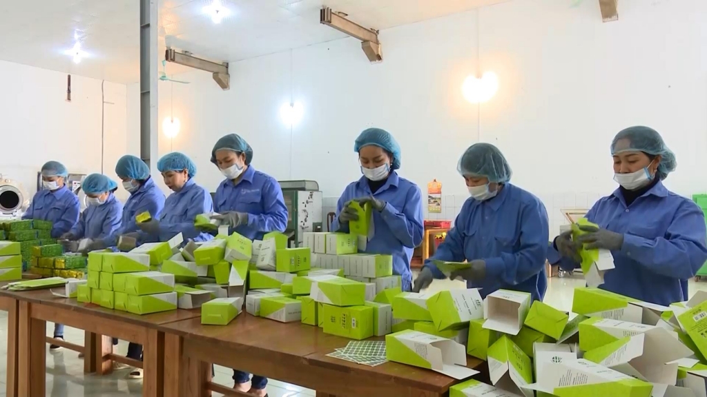 undefined Chủ động tháo gỡ khó khăn cho xuất khẩu địa phương