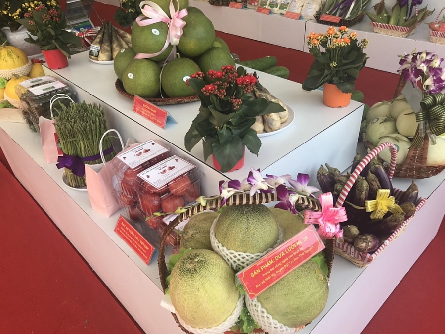 Những hoạt động bên lề Đại hội đại biểu Đảng bộ tỉnh Thái Nguyên lần thứ XX Những hoạt động bên lề Đại hội đại biểu Đảng bộ tỉnh Thái Nguyên lần thứ XX