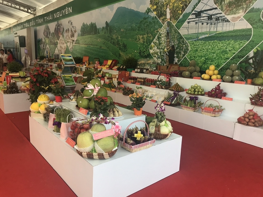 Những hoạt động bên lề Đại hội đại biểu Đảng bộ tỉnh Thái Nguyên lần thứ XX Những hoạt động bên lề Đại hội đại biểu Đảng bộ tỉnh Thái Nguyên lần thứ XX