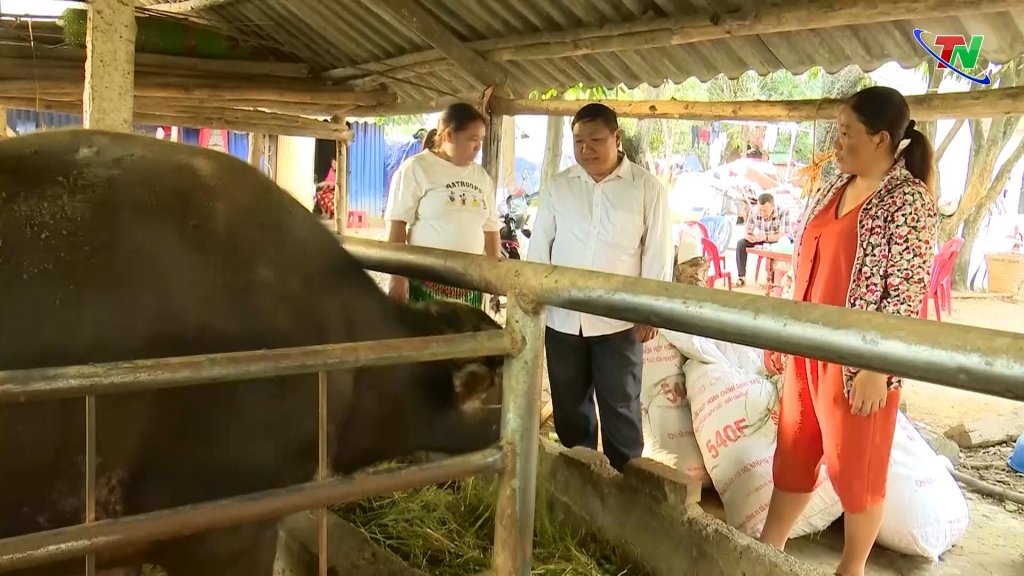 Một trưởng xóm làm dân vận khéo Một trưởng xóm làm dân vận khéo