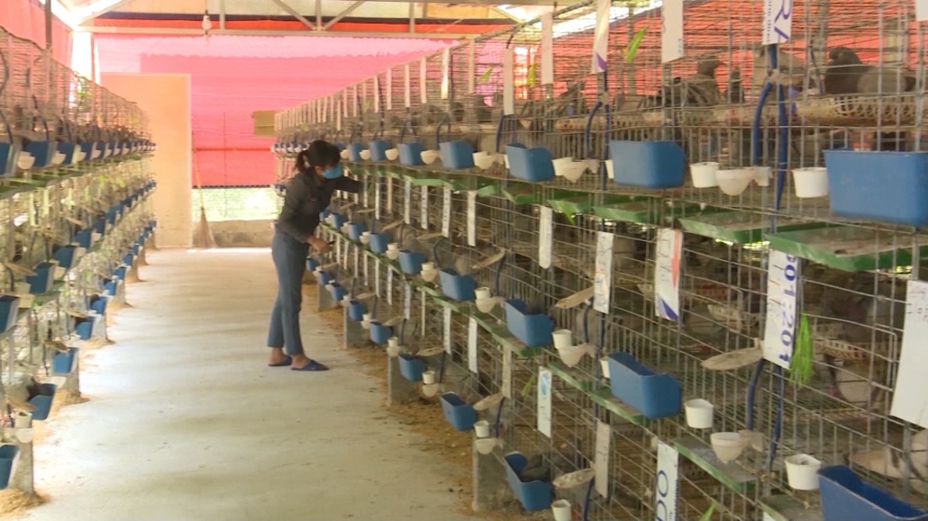 Lan tỏa phong trào phụ nữ khởi nghiệp Lan tỏa phong trào phụ nữ khởi nghiệp