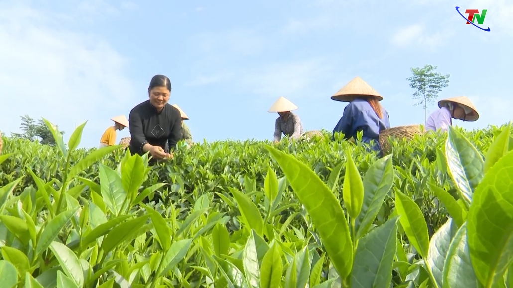 Tiếp nối truyền thống 90 năm thành lập Hội Liên hiệp Phụ nữ Việt Nam Tiếp nối truyền thống 90 năm thành lập Hội Liên hiệp Phụ nữ Việt Nam