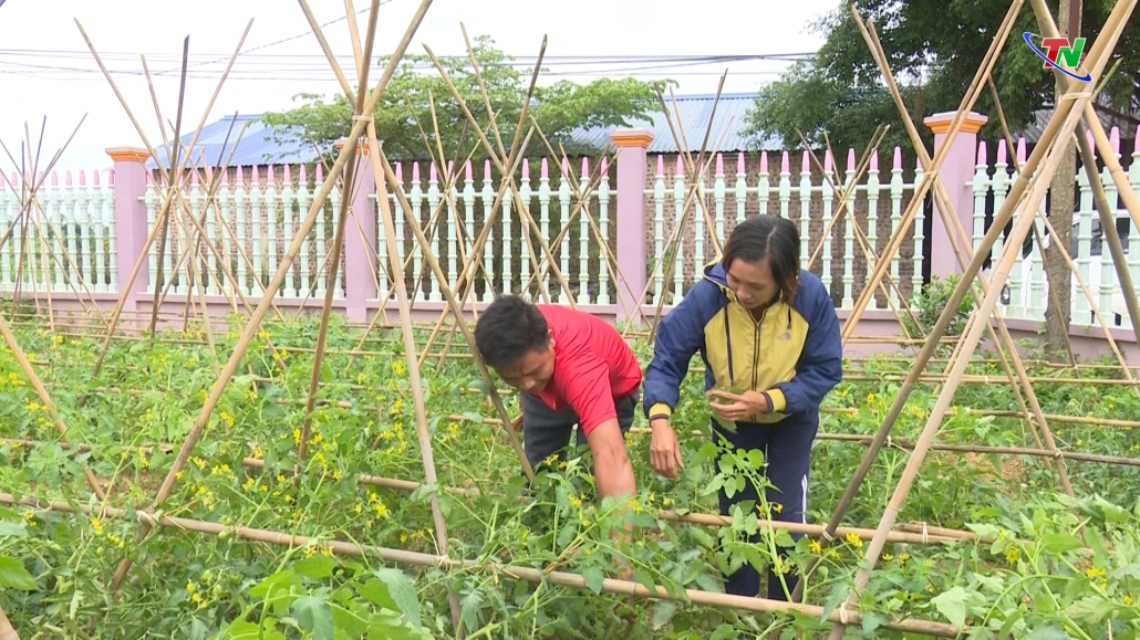 Phú Bình phát huy thế mạnh của hợp tác xã nông nghiệp