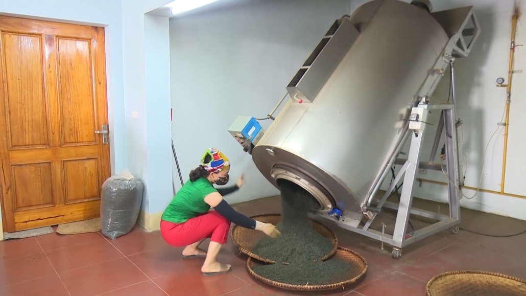 Nâng cao giá trị cây chè ở Phúc Xuân, thành phố Thái Nguyên Nâng cao giá trị cây chè ở Phúc Xuân, thành phố Thái Nguyên