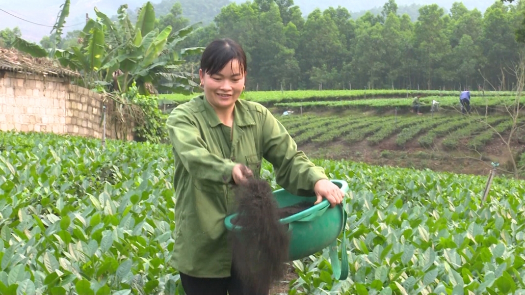 Sông Công đẩy mạnh phát triển các sản phẩm OCOP Sông Công đẩy mạnh phát triển các sản phẩm OCOP