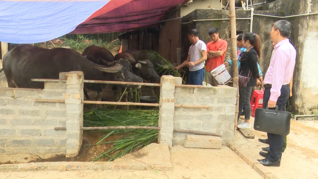 Đồng Hỷ, phát huy hiệu quả nguồn vốn tín dụng chính sách Đồng Hỷ, phát huy hiệu quả nguồn vốn tín dụng chính sách
