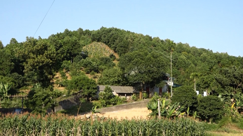 Sáng mãi phẩm chất Bộ đội Cụ Hồ