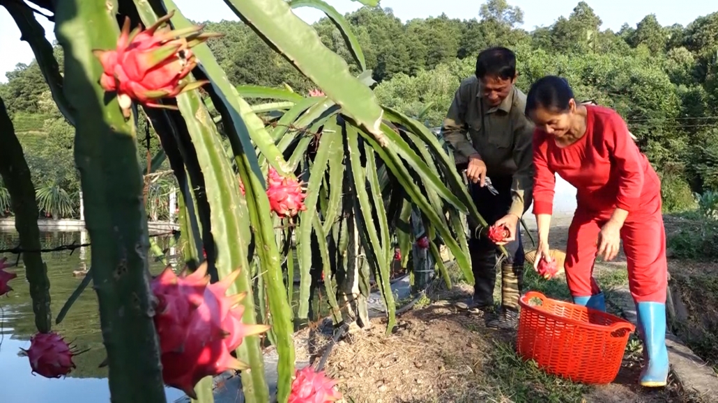 Sáng mãi phẩm chất Bộ đội Cụ Hồ