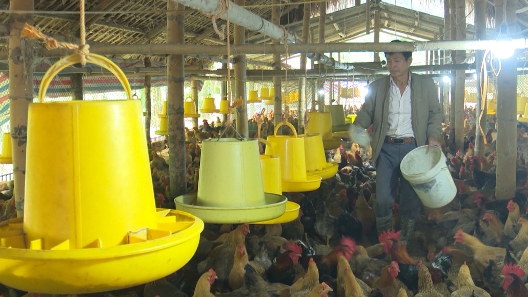 Nông nghiệp hữu cơ: Xu thế tất yếu