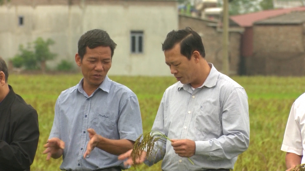 Nông nghiệp hữu cơ: Xu thế tất yếu