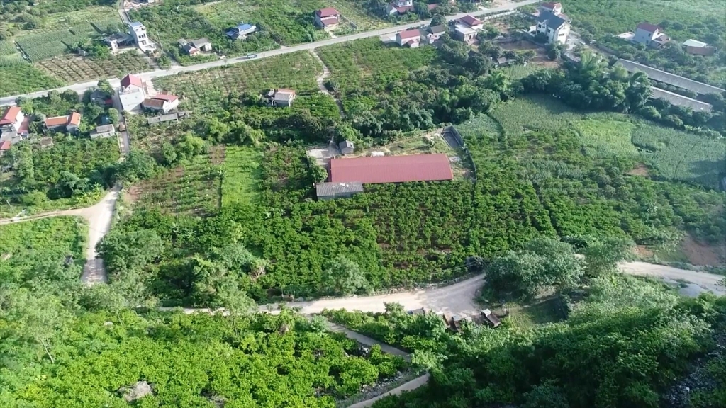 Đánh giá mô hình vườn mẫu phát triển kinh tế tại huyện Võ Nhai Đánh giá mô hình vườn mẫu phát triển kinh tế tại huyện Võ Nhai