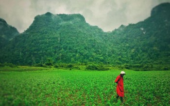 Sau “Kong: Skull Island”, liệu Việt Nam có thành phim trường quốc tế?