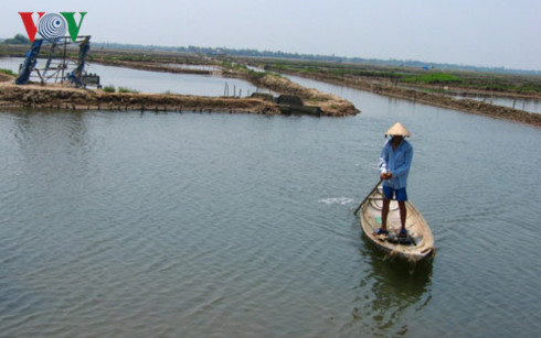 nhuc nhoi tinh trang danh bat bang xung dien tren pha tam giang