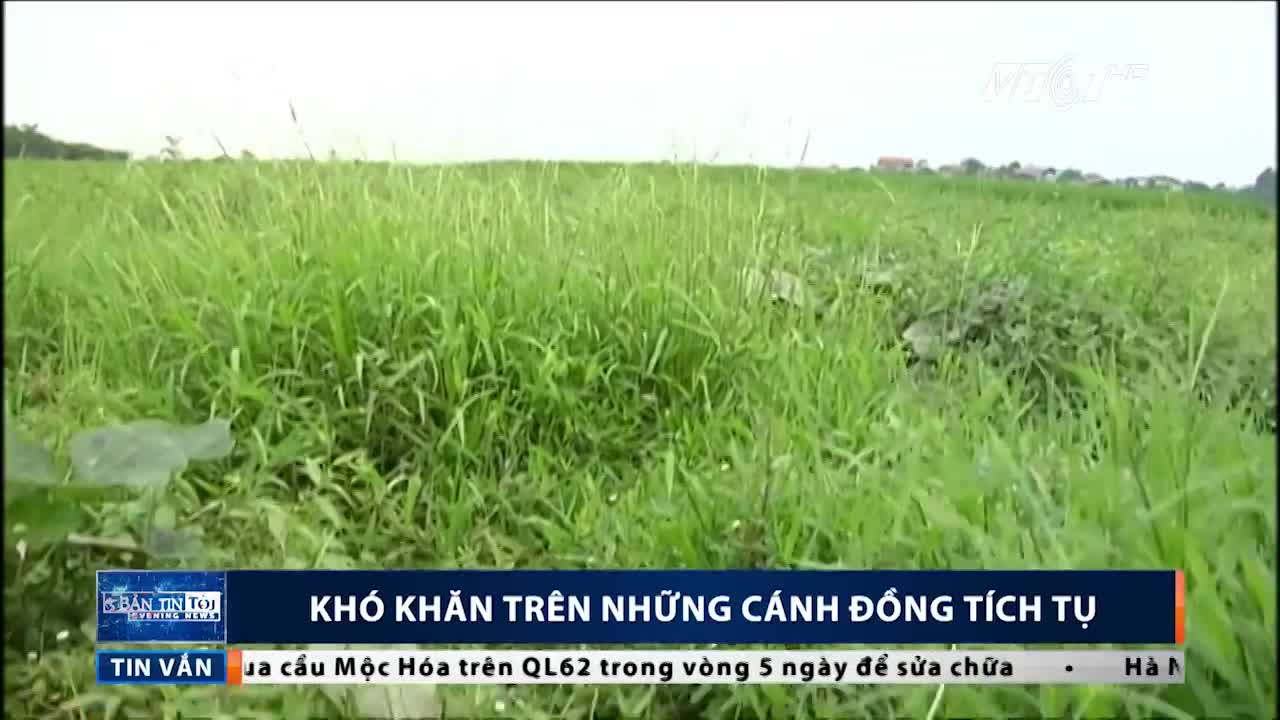 Tích tụ ruộng đất và những khó khăn hiện hữu