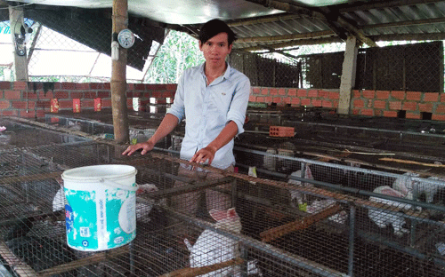 xay dung ntm o quang nam phuoc ninh bat len tu cac mo hinh