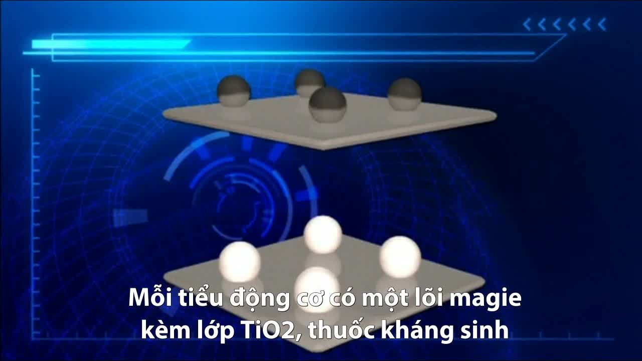 Động cơ sinh học bơi trong dạ dày để diệt vi khuẩn