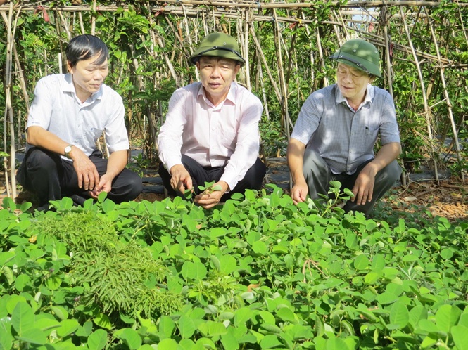 quang binh vuot kho khan de co 80 xa dat chuan