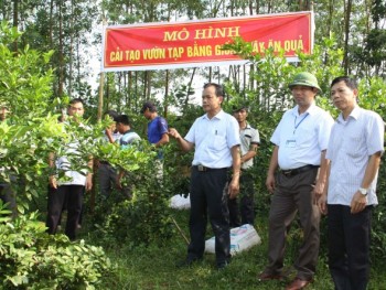 Phổ Yên : Thêm hướng đi trong sản xuất nông nghiệp