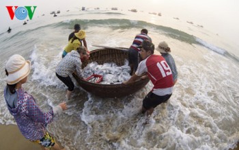 Xây dựng hệ thống quan trắc môi trường biển tại 4 tỉnh miền Trung