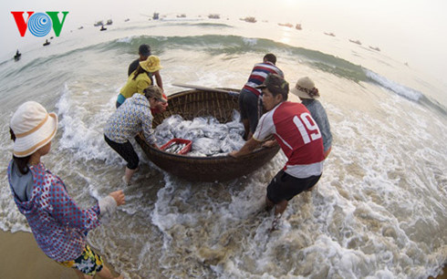 xay dung he thong quan trac moi truong bien tai 4 tinh mien trung