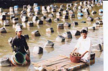 Phát triển nông thôn mới từ tiềm năng kinh tế biển