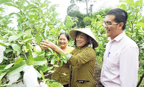 Làm giàu ở nông thôn: Sửa sang nhà, trồng cây trái và đón khách tới ăn