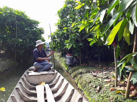 lam giau o nong thon sua sang nha trong cay trai va don khach toi an