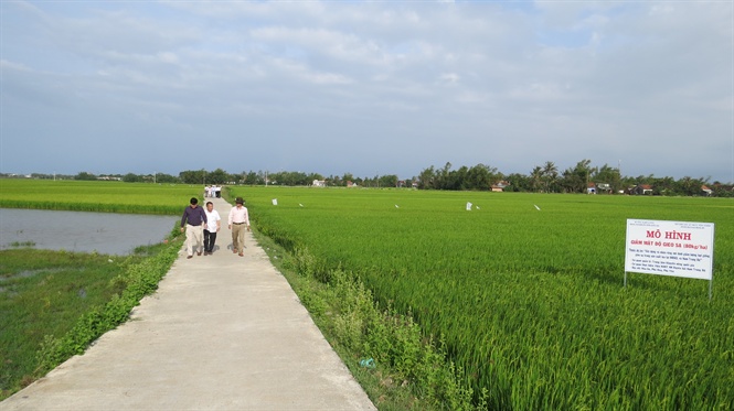 cac xa dang ky dat chuan deu vuong no dong