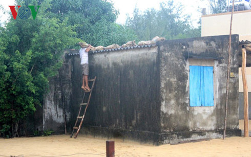 cac tinh mien trung ung pho voi bao so 10