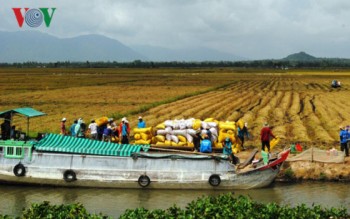 “Hội nghị Diên Hồng” tìm giải pháp phát triển bền vững cho ĐBSCL