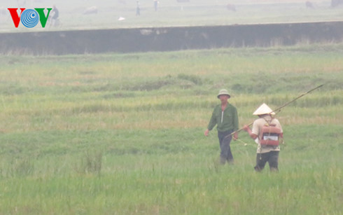 ha tinh loan su dung kich dien danh bat ca