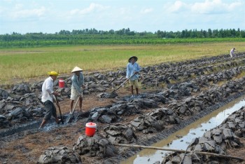 Bí quyết thành công của Thạnh Xuân