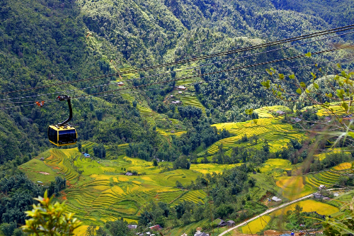 ngam hoa tam giac mach mua le hoi tu cap treo fansipan