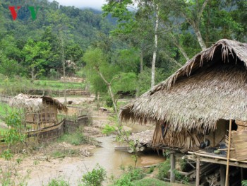 Tiềm ẩn nguy cơ sạt lở tại các huyện miền núi tỉnh Nghệ An