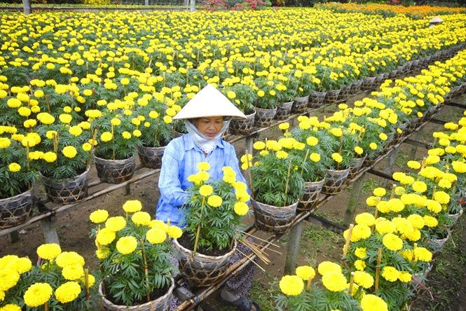 tp sa de c hoan thanh nhiem vu xay dung nong thon moi