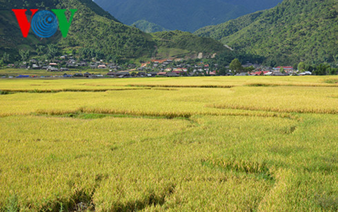 tai co cau nong nghiep can thoat khoi tu duy tu cung tu cap