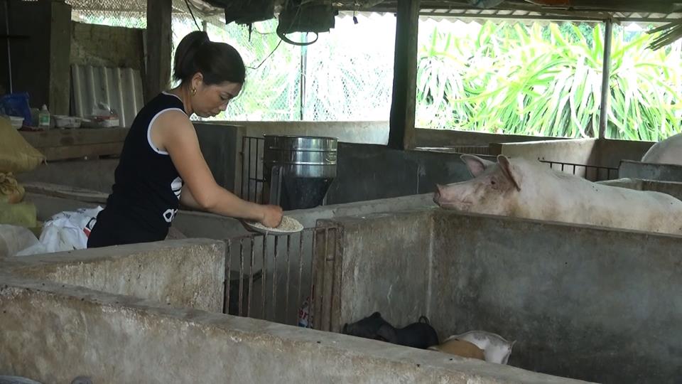 but pha can dich nong thon moi noong het thay da doi thit