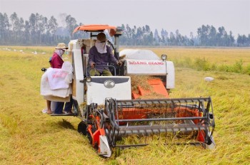 Cần Thơ: Xã Định Môn về đích nông thôn mới